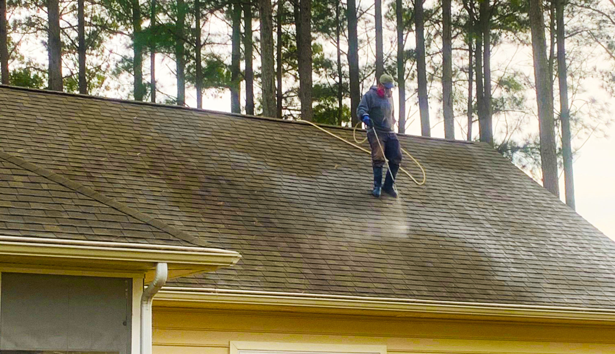Pressureless Roof Cleaning