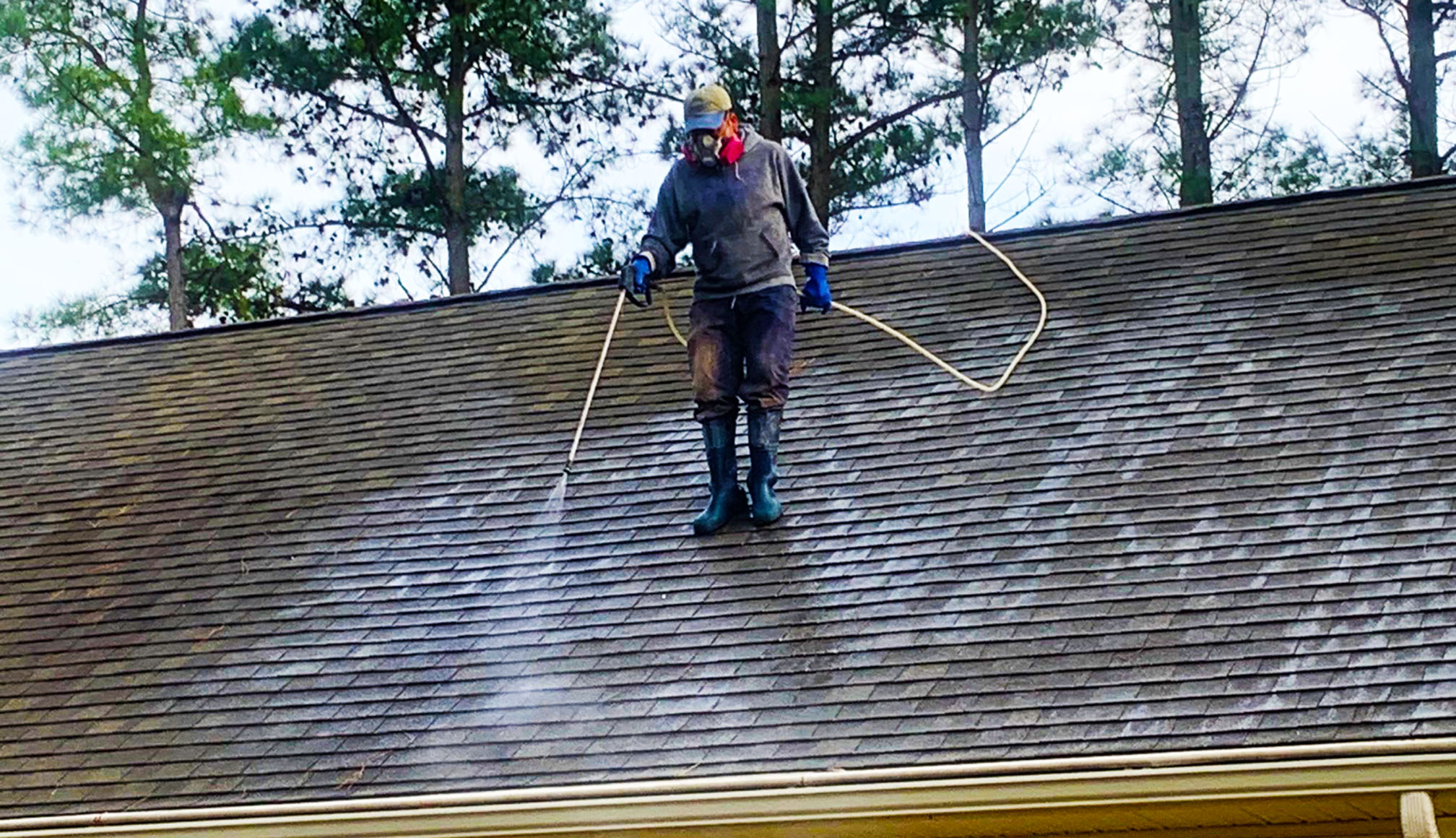 Pressureless Roof Cleaning